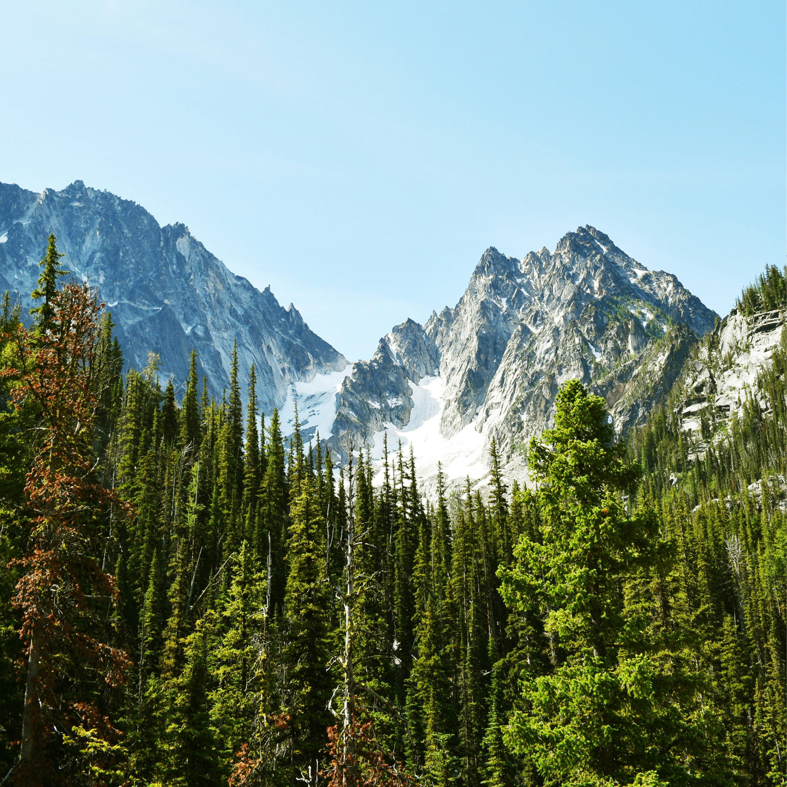 5 tips för din första fjällvandring: En guide för nybörjare